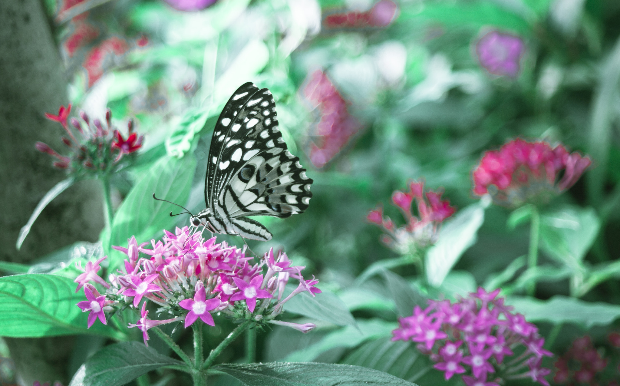 Canon EF 28-80mm f/3.5-5.6 USM sample photo. Img photography