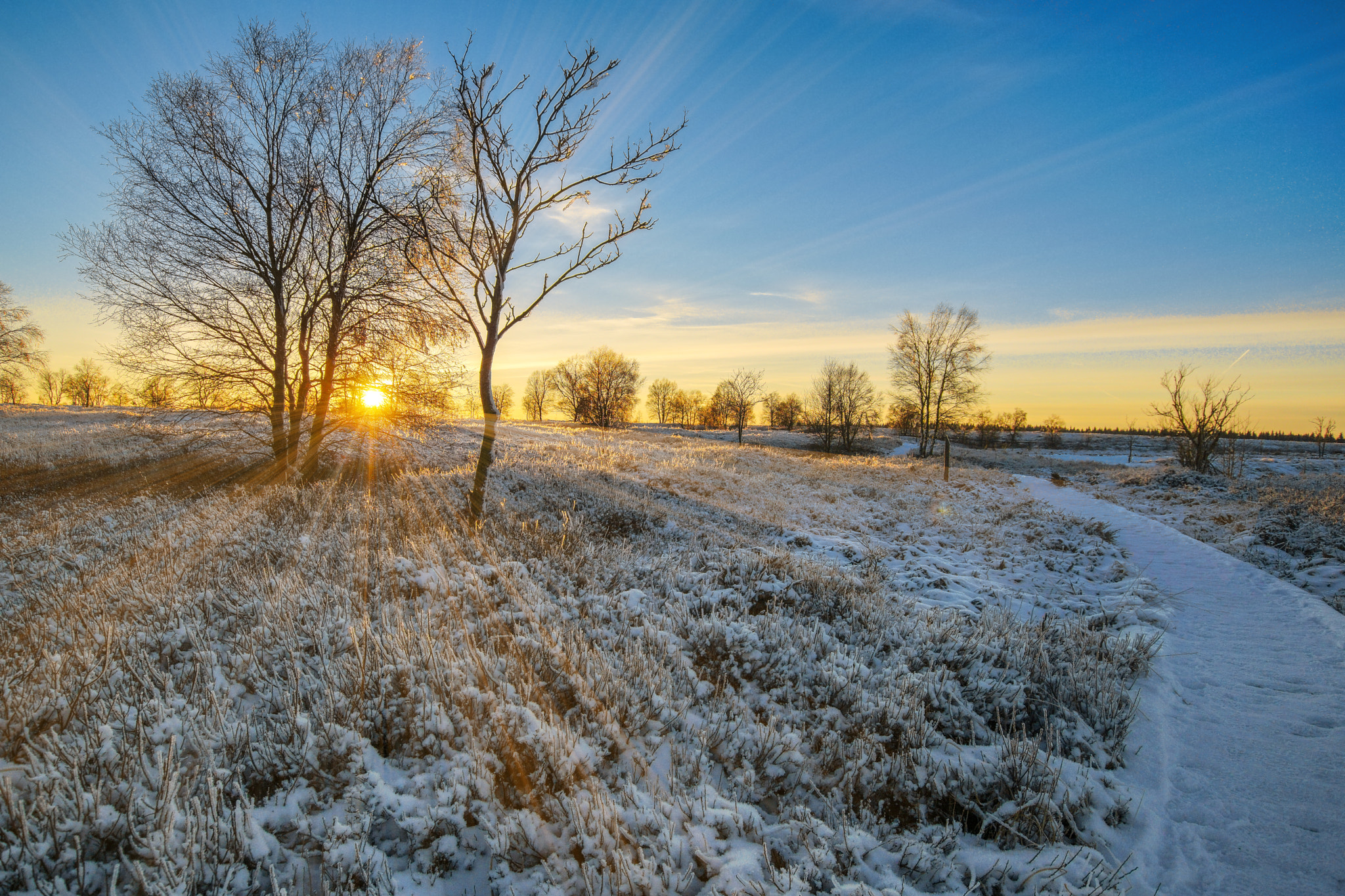 Sony ILCA-77M2 + 10-20mm F3.5 sample photo. Winter im hohem venn photography