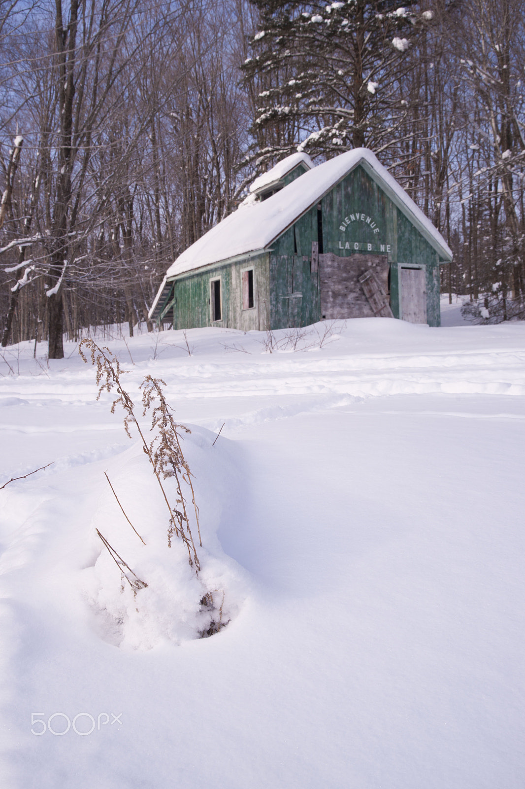 Sony Alpha DSLR-A900 sample photo. The hut again photography