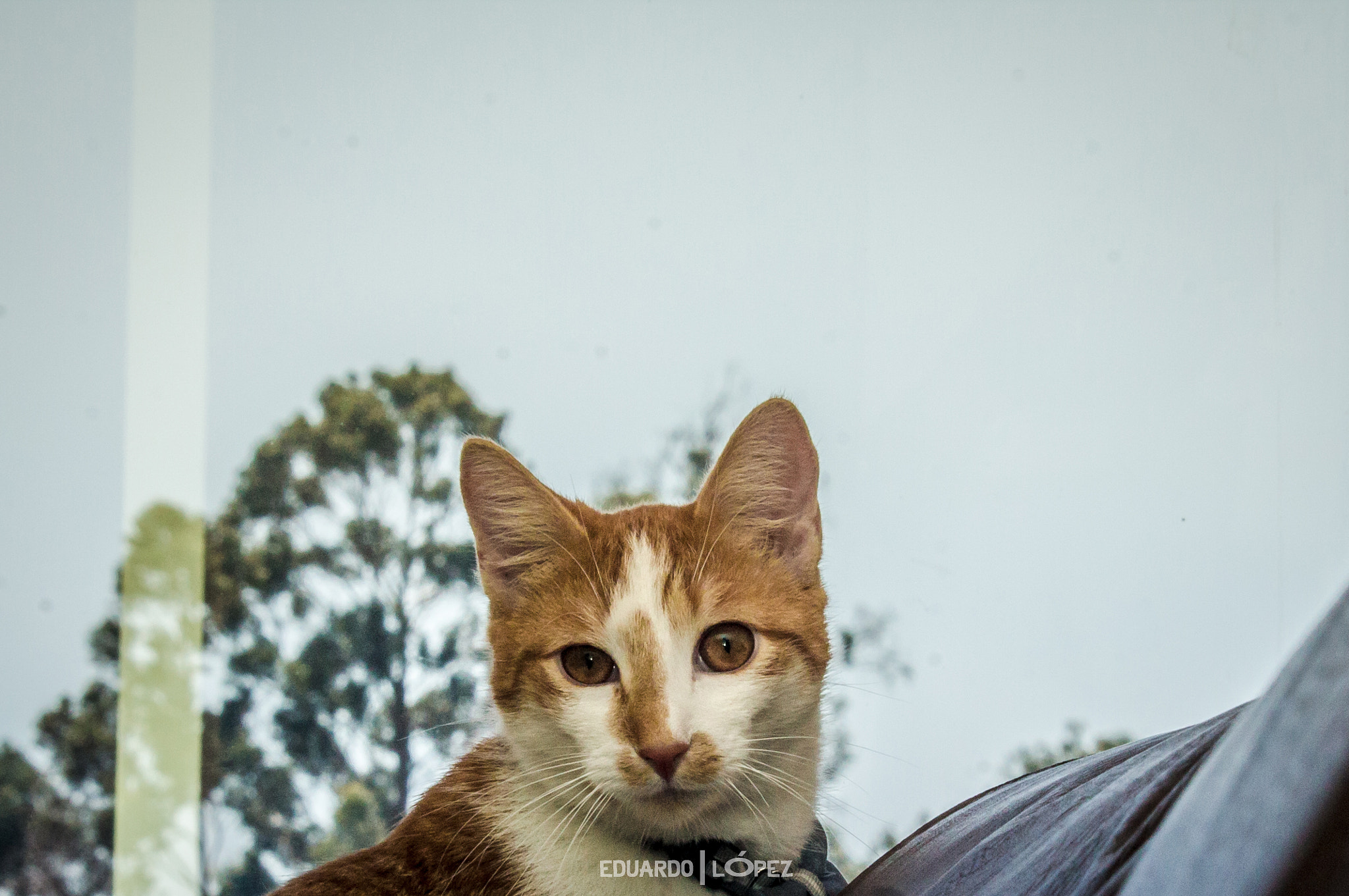 Canon EF-S 55-250mm F4-5.6 IS STM sample photo. Img photography