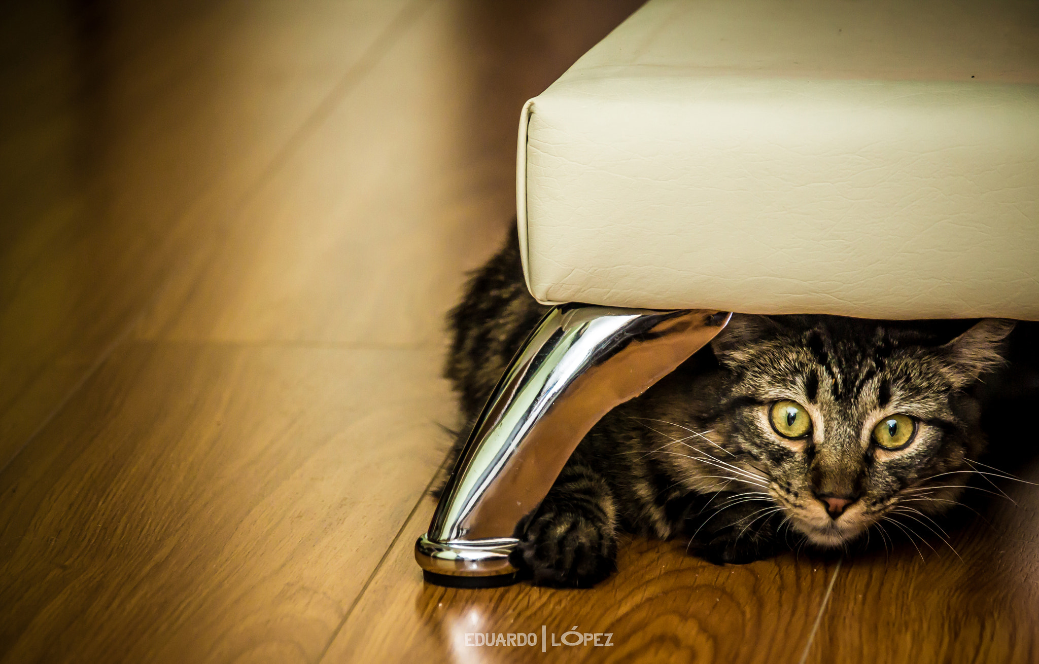 Canon EF-S 55-250mm F4-5.6 IS STM sample photo. Img photography
