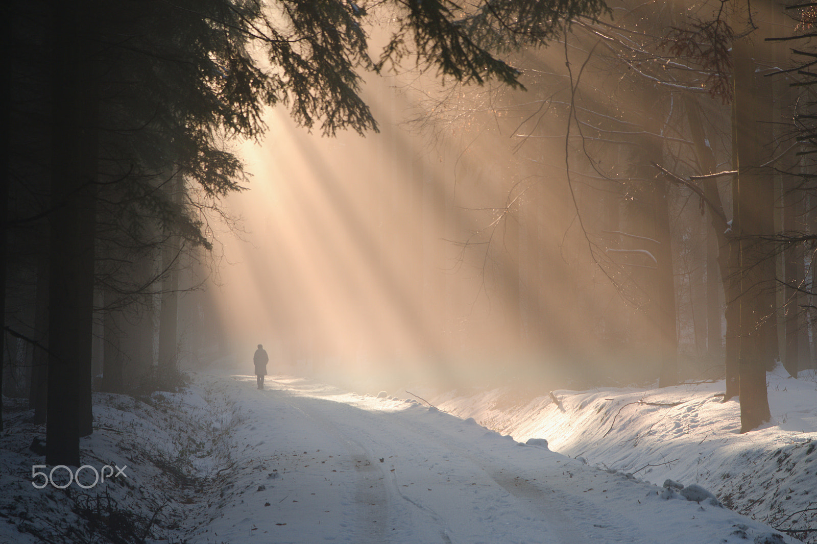 Nikon D7000 + Sigma 17-70mm F2.8-4 DC Macro OS HSM sample photo. Path to the light photography