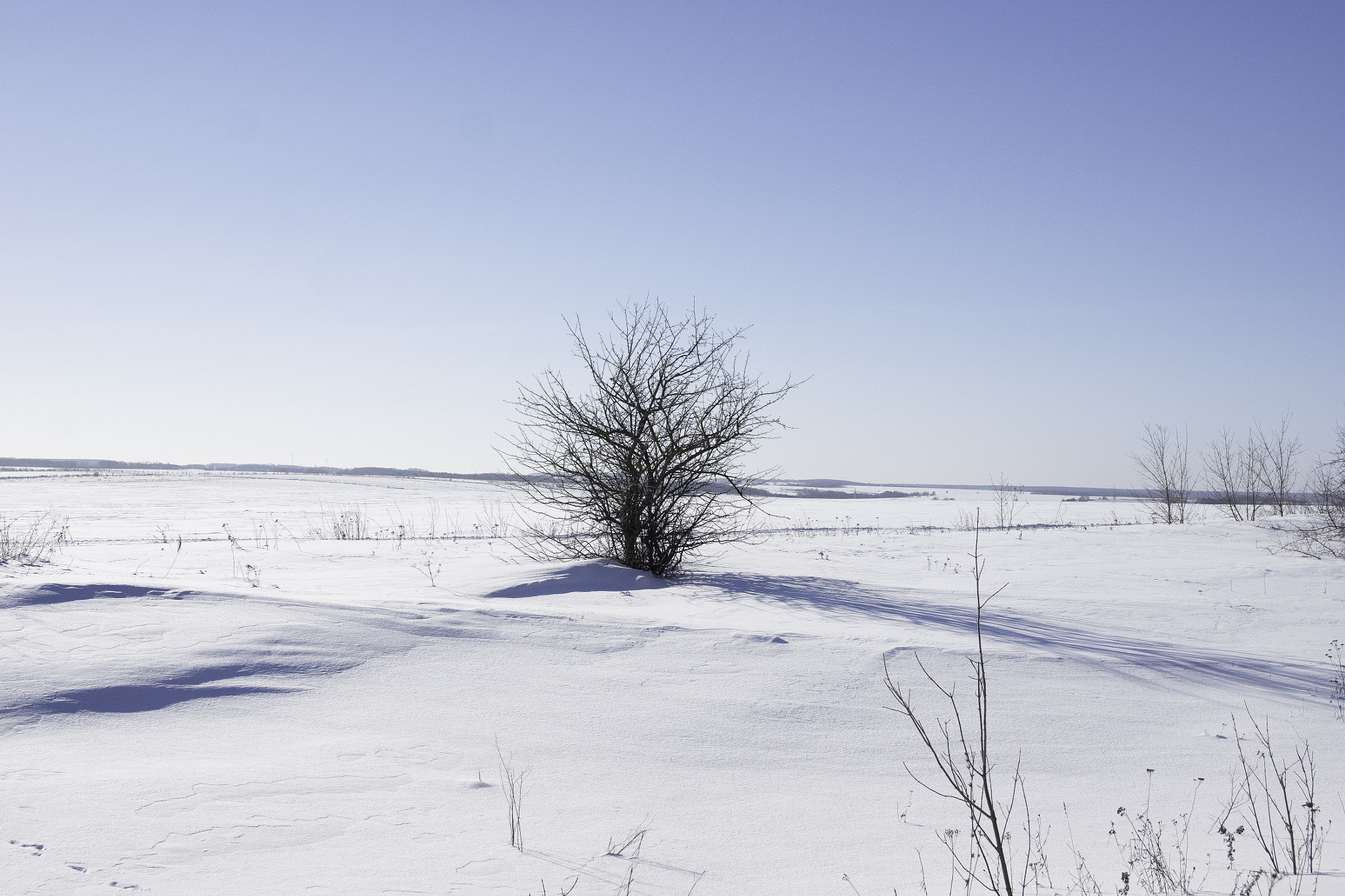 Sony ILCA-77M2 + 17-50mm F2.8 sample photo. На дне Ысточункагского озера photography