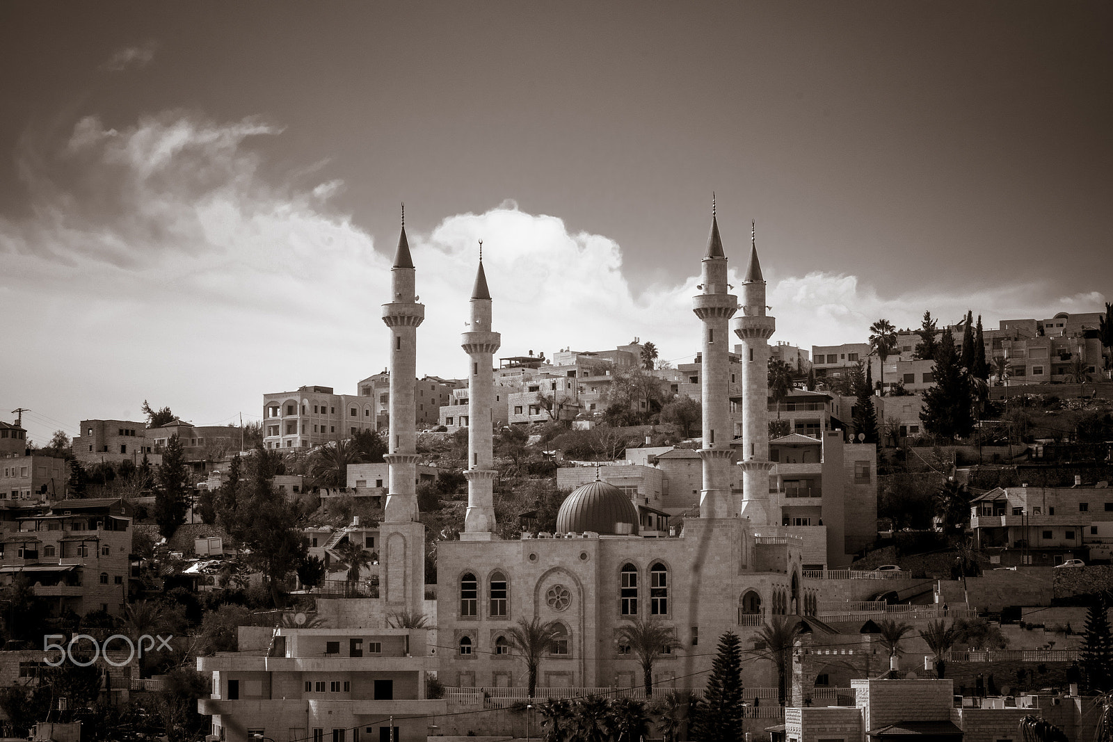 Nikon D500 sample photo. The mosque photography