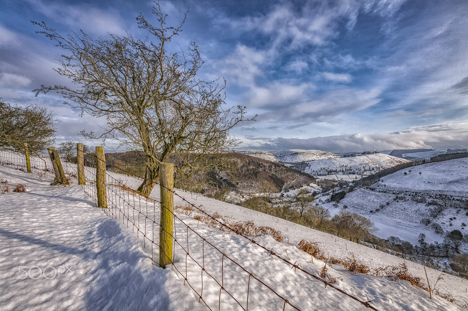 Canon EOS 50D + Sigma 10-20mm F4-5.6 EX DC HSM sample photo. Dont fence me in photography