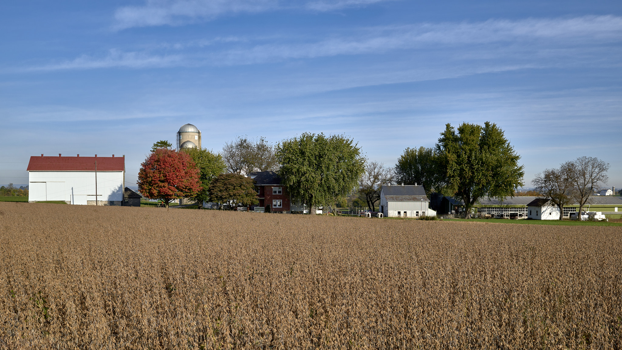 Nikon D810 sample photo. Farm photography
