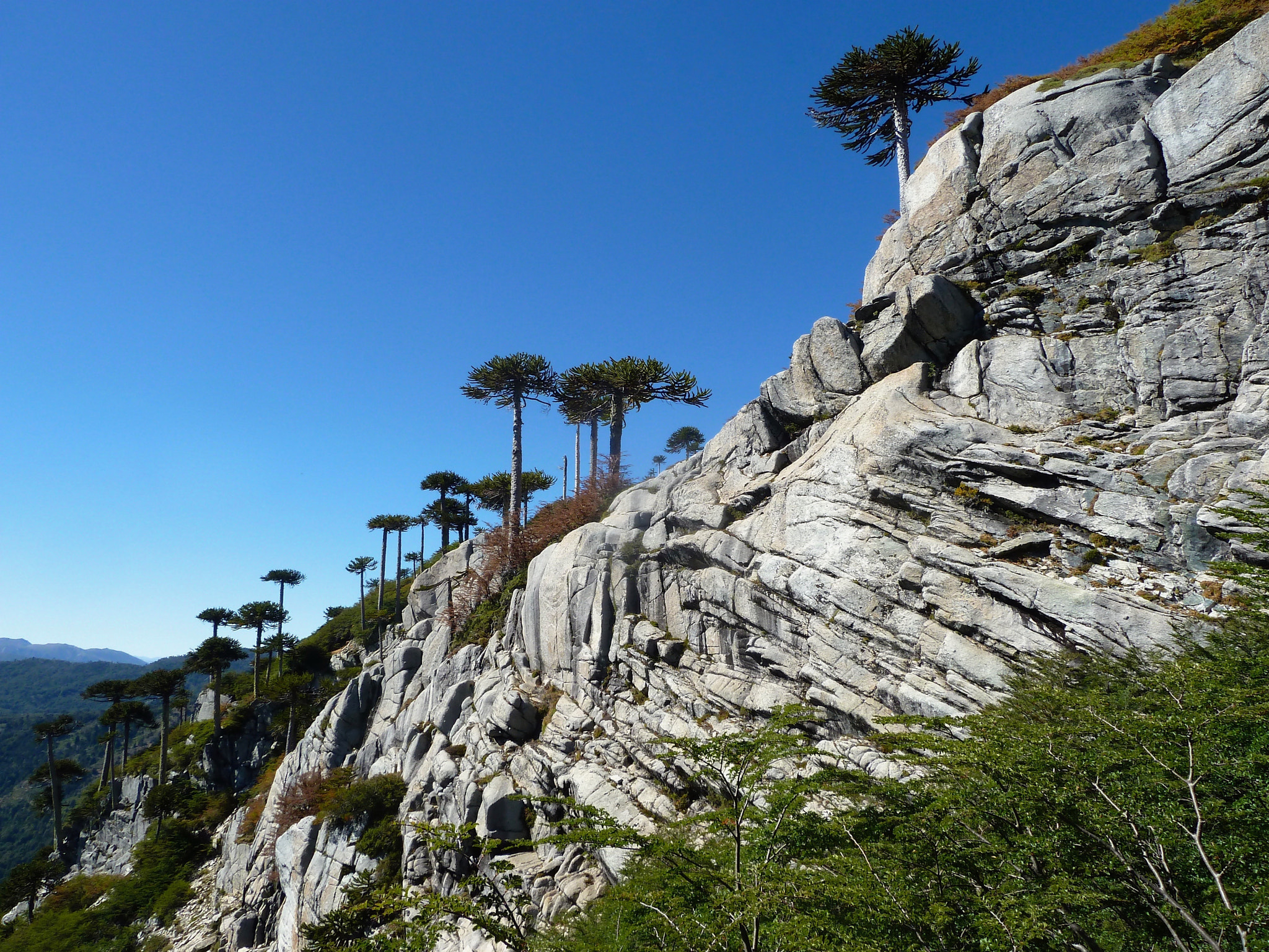 Panasonic Lumix DMC-ZS5 (Lumix DMC-TZ8) sample photo. Sierra nevada photography
