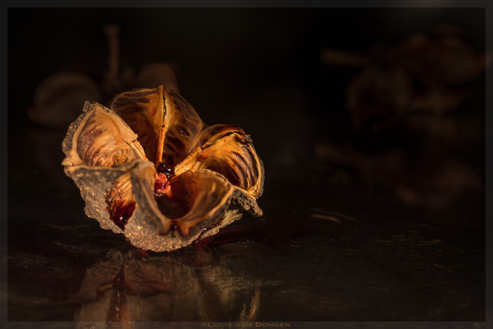 Nikon D610 + Nikon AF Micro-Nikkor 60mm F2.8D sample photo. Still life photography