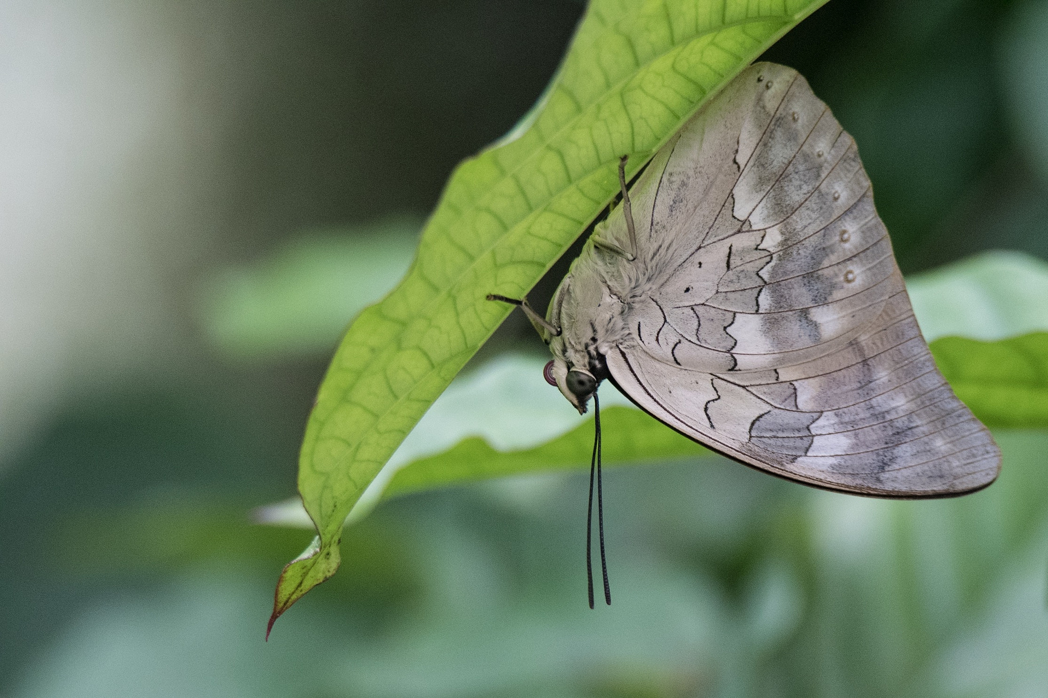 Tamron SP 150-600mm F5-6.3 Di VC USD sample photo