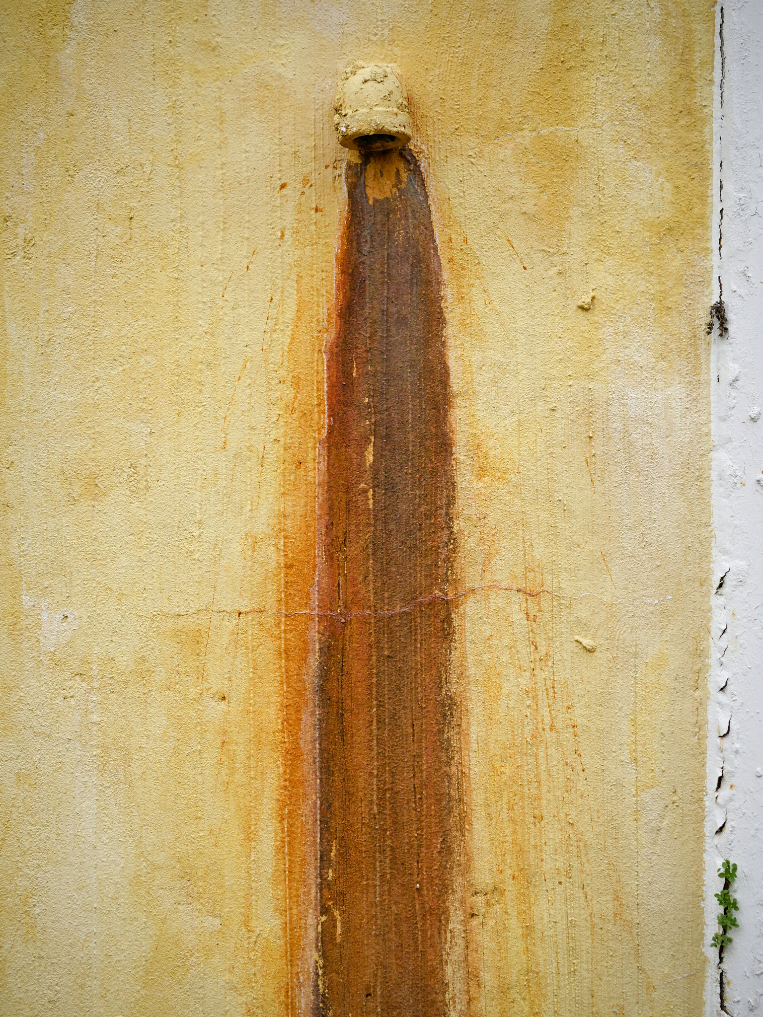 Panasonic Leica DG Macro-Elmarit 45mm F2.8 ASPH OIS sample photo. Drip path photography