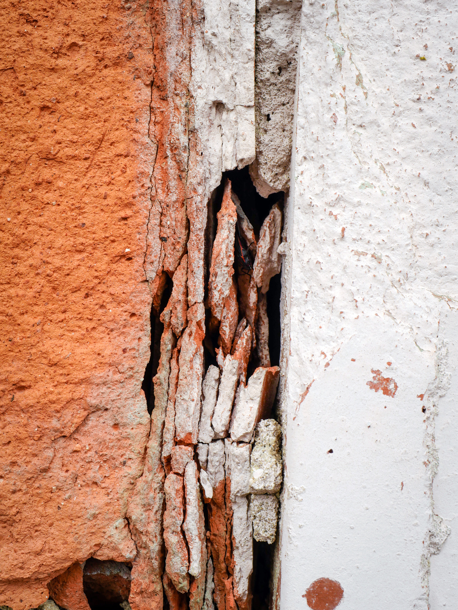 Panasonic Leica DG Macro-Elmarit 45mm F2.8 ASPH OIS sample photo. Stacked fragments photography