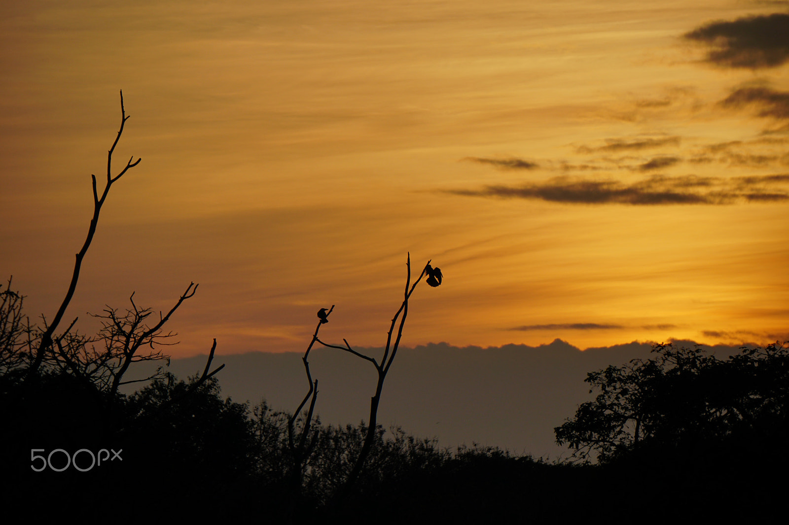 Sony FE 24-240mm F3.5-6.3 OSS sample photo. Colurs of sunset photography