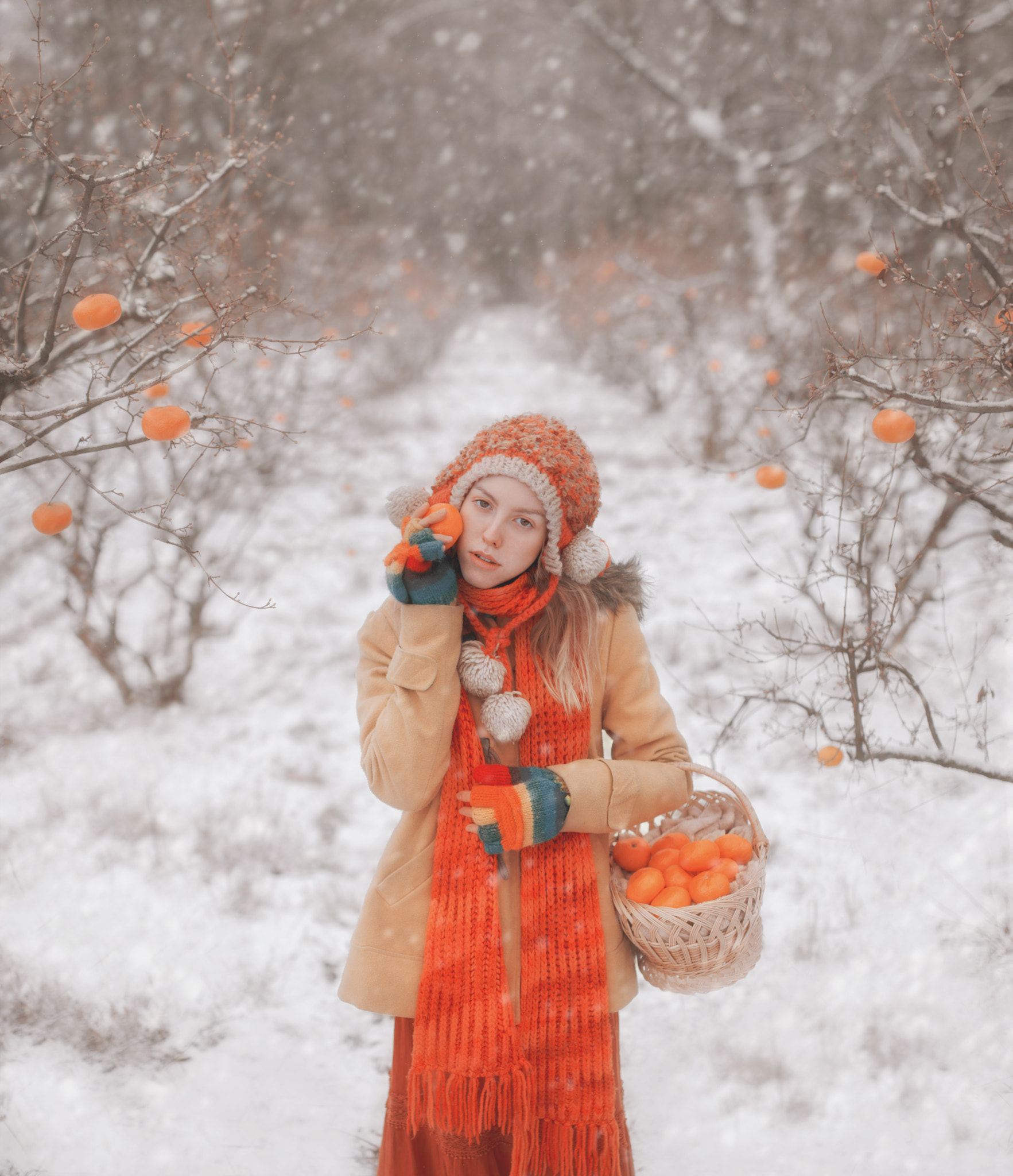 Nikon D7000 + Sigma 35mm F1.4 DG HSM Art sample photo. Tangerines winter tale photography