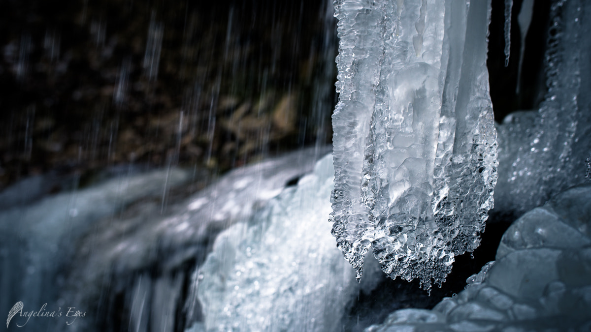 100mm F2.8 G SSM OSS sample photo. Cold water photography