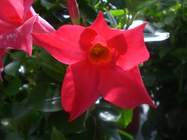 CASIO EX-Z75 sample photo. 12433.jpg photography