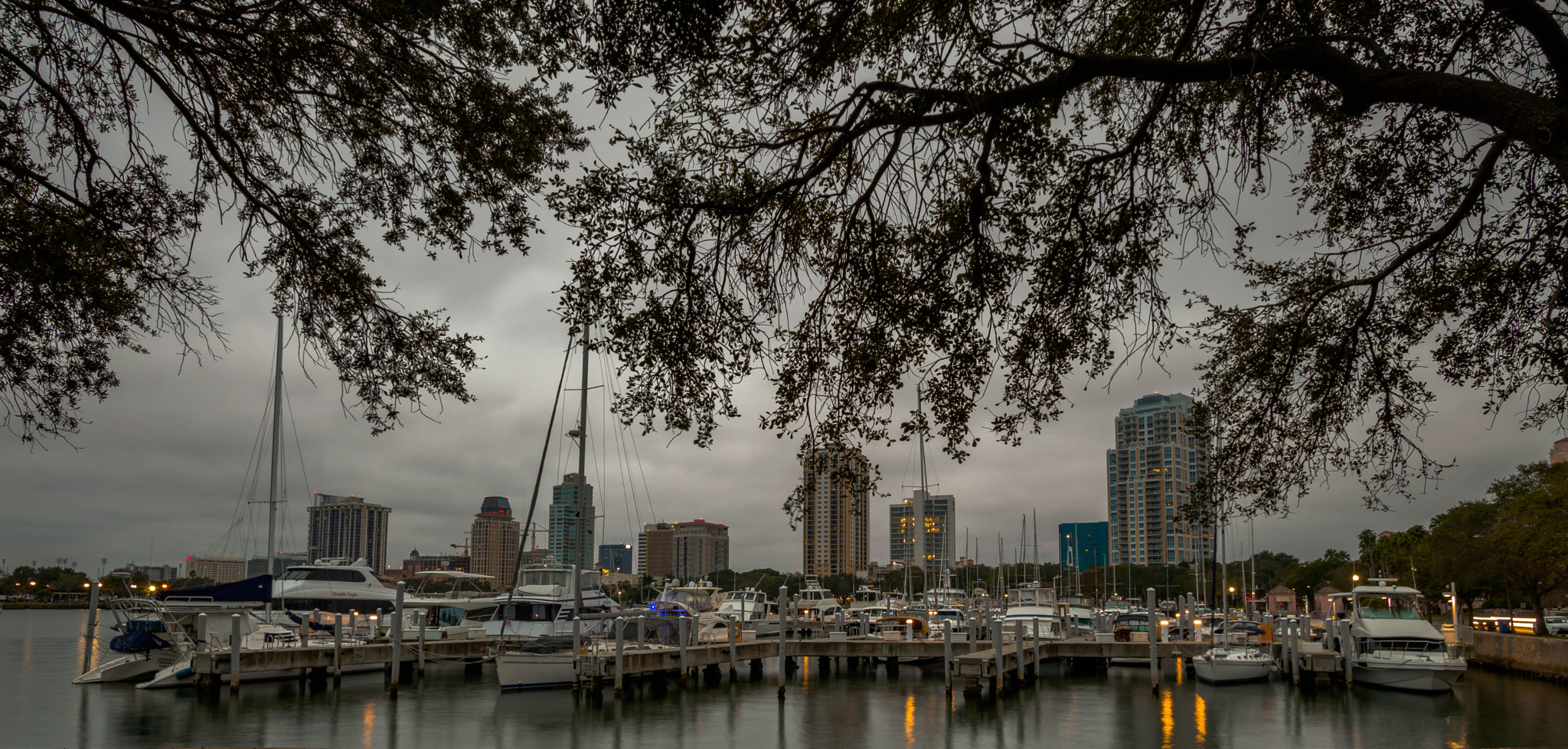 Sigma 10-20mm F3.5 EX DC HSM sample photo. Early morning stroll photography