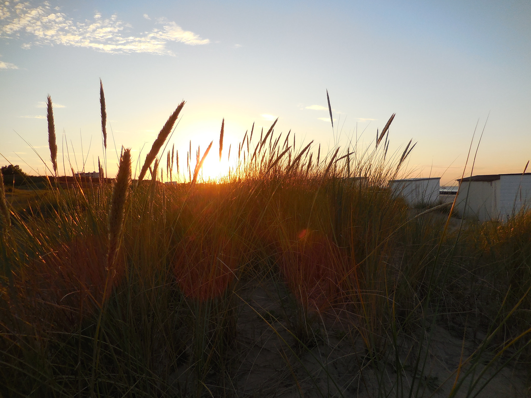 Nikon COOLPIX S6600 sample photo. Grass in the shadows photography