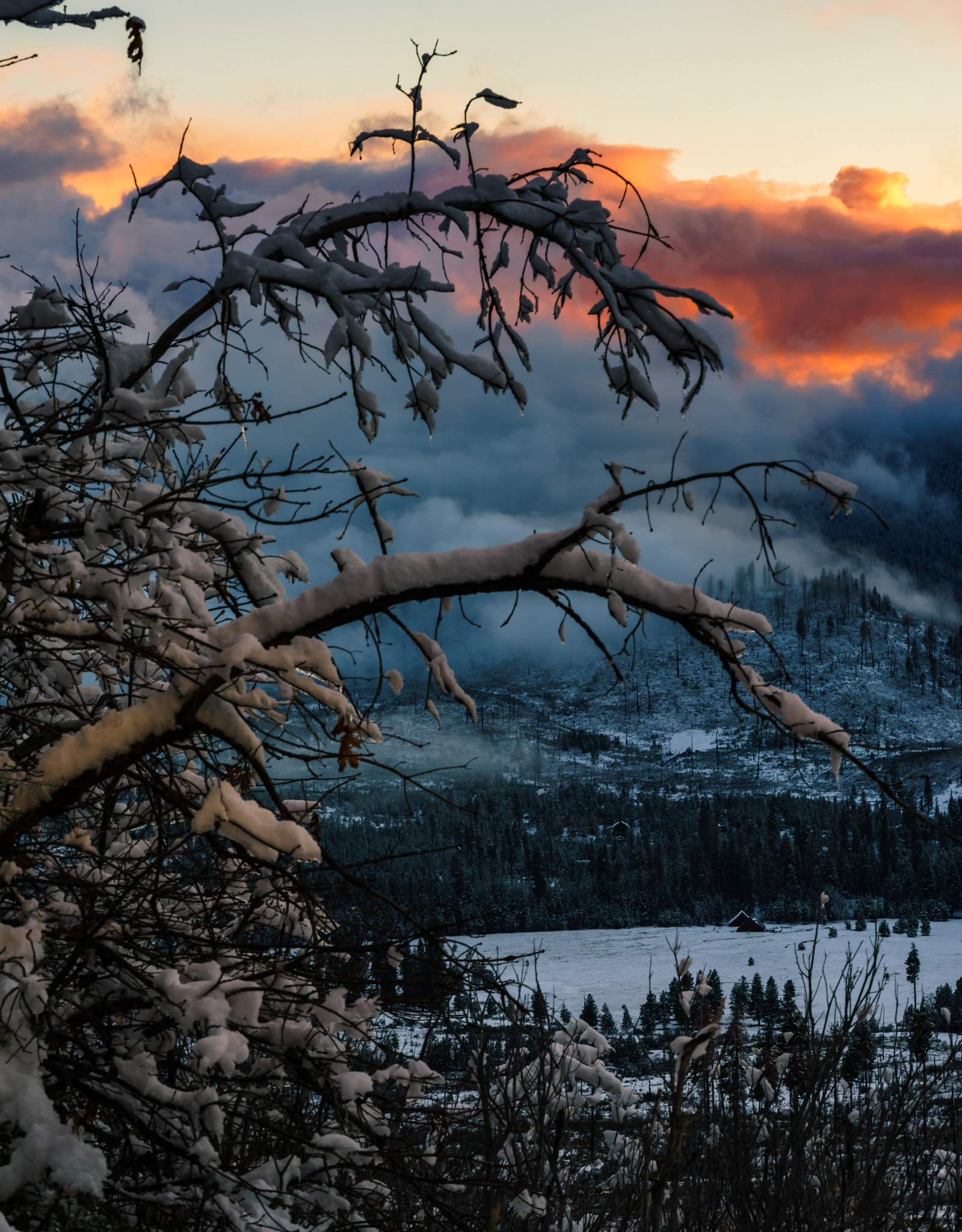 Sony a7R + Sony FE 90mm F2.8 Macro G OSS sample photo. Yosemite winter sunset 2 photography