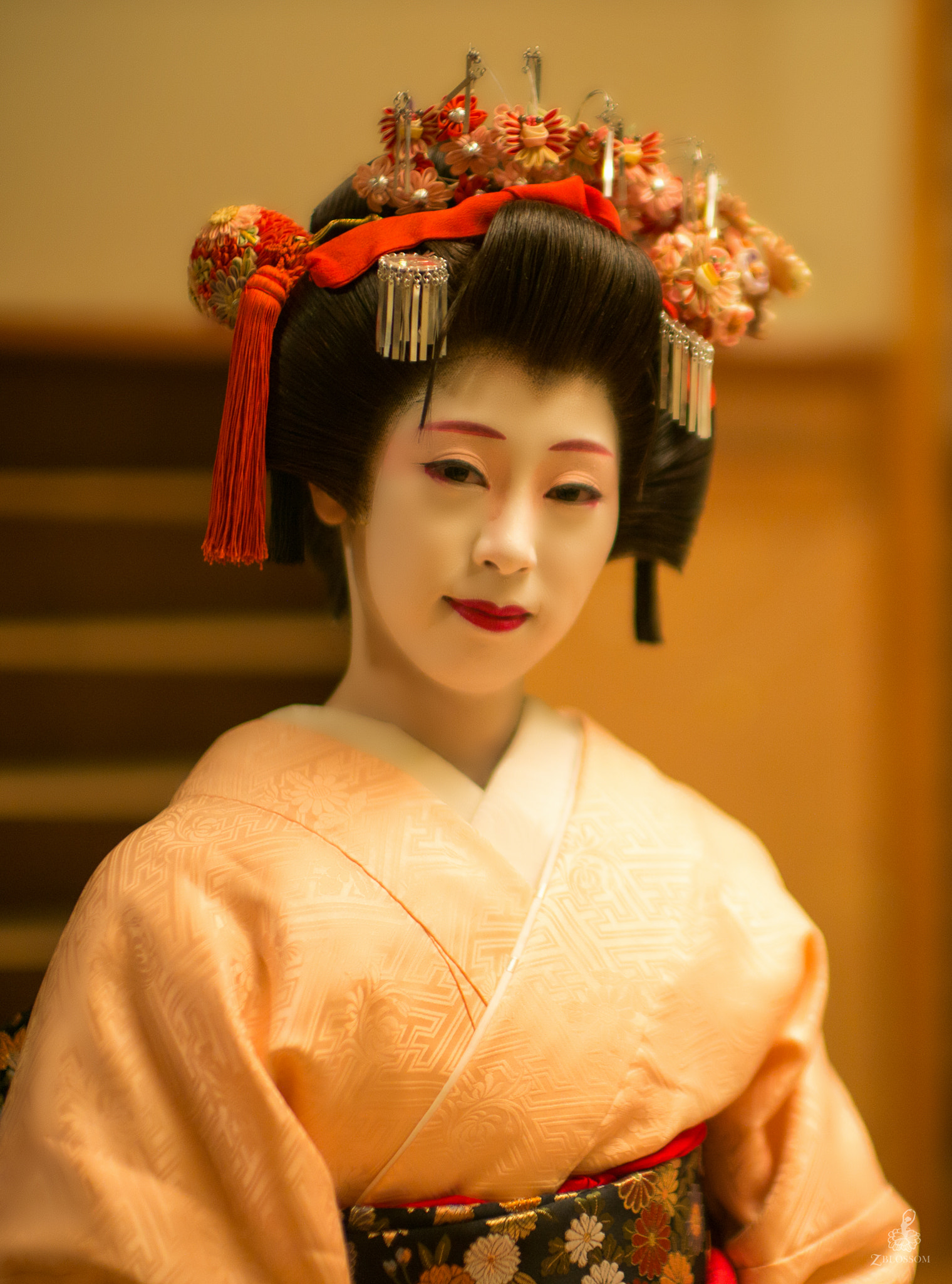 Leica Noctilux-M 50mm F0.95 ASPH sample photo. Geisha - chihana-san 2 photography