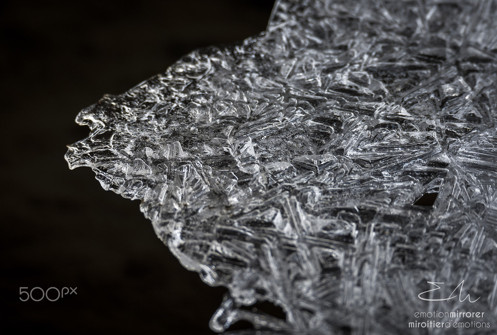 Sigma 150-600mm F5-6.3 DG OS HSM | S sample photo. Natural jewelry photography