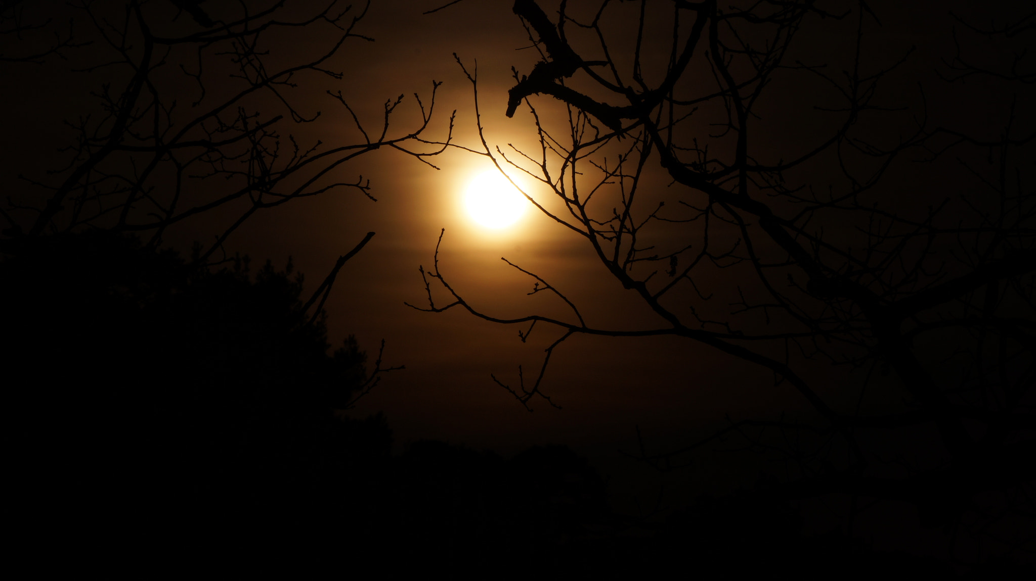 Sony DT 18-250mm F3.5-6.3 sample photo. After midnight photography