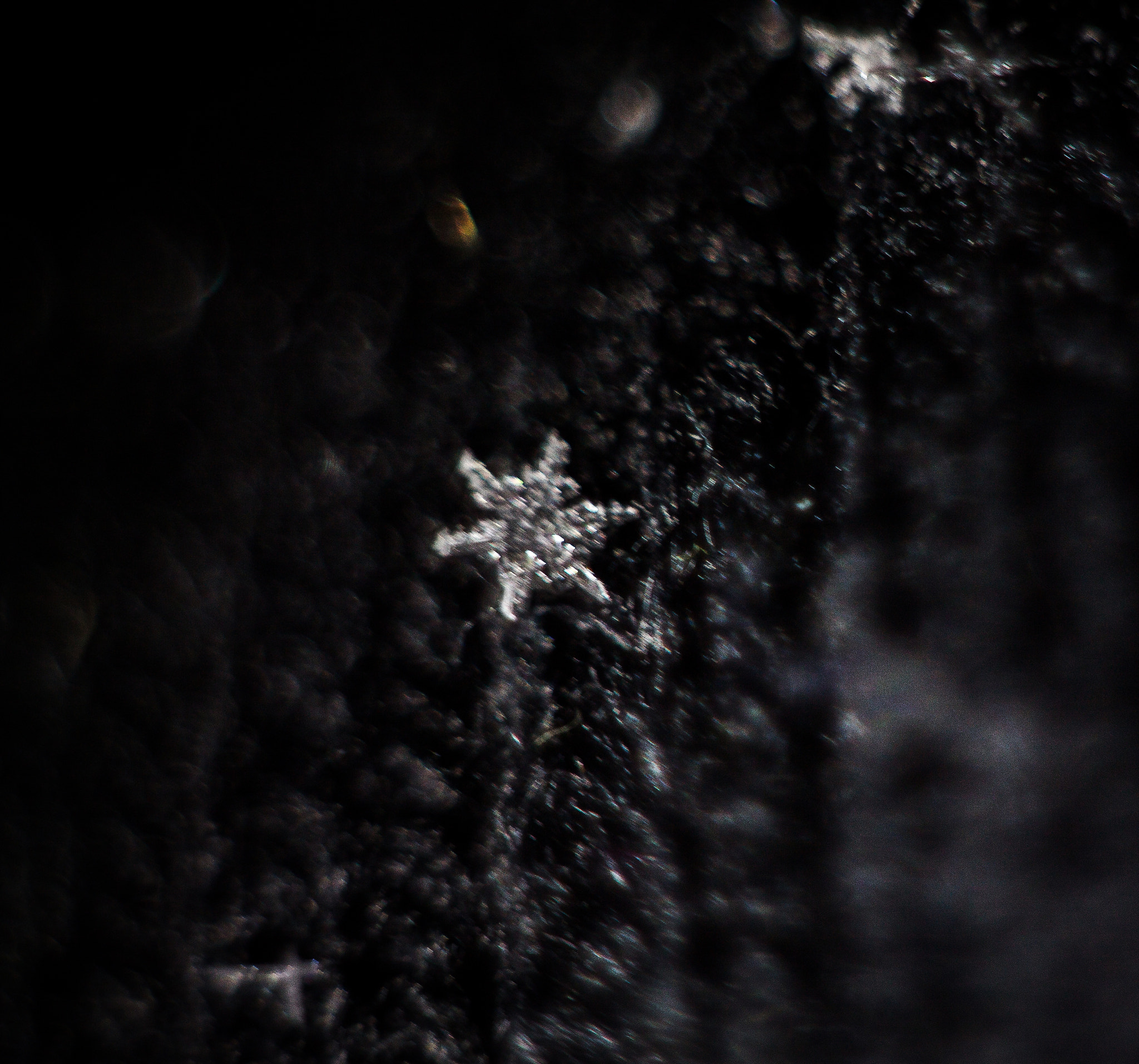 Canon EF 35-80mm f/4-5.6 sample photo. Img photography