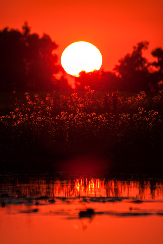 Canon EF 100-400mm F4.5-5.6L IS USM sample photo. Great sunset photography