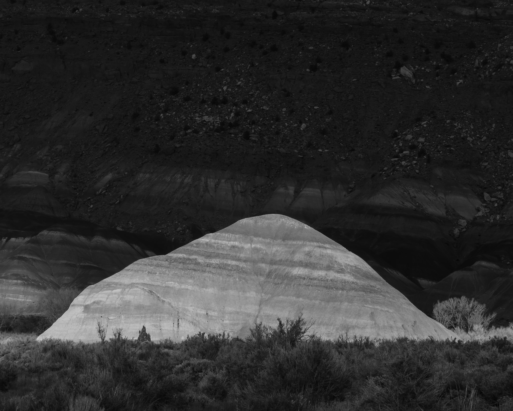 Canon EOS 650D (EOS Rebel T4i / EOS Kiss X6i) + EF75-300mm f/4-5.6 sample photo. Ac bw photography