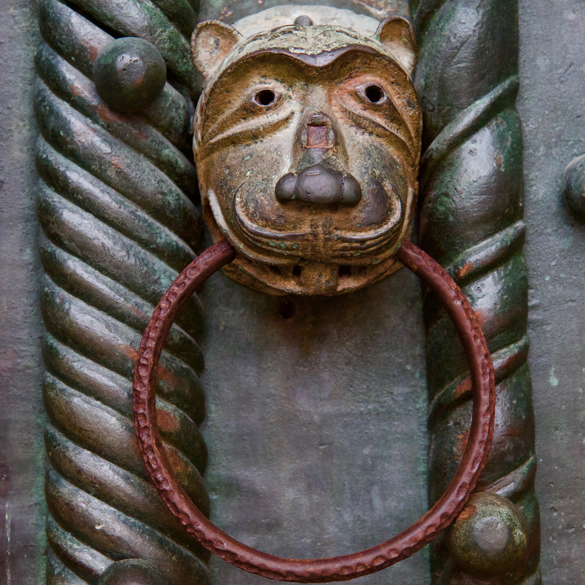 Canon EOS 550D (EOS Rebel T2i / EOS Kiss X4) sample photo. Door knocker photography