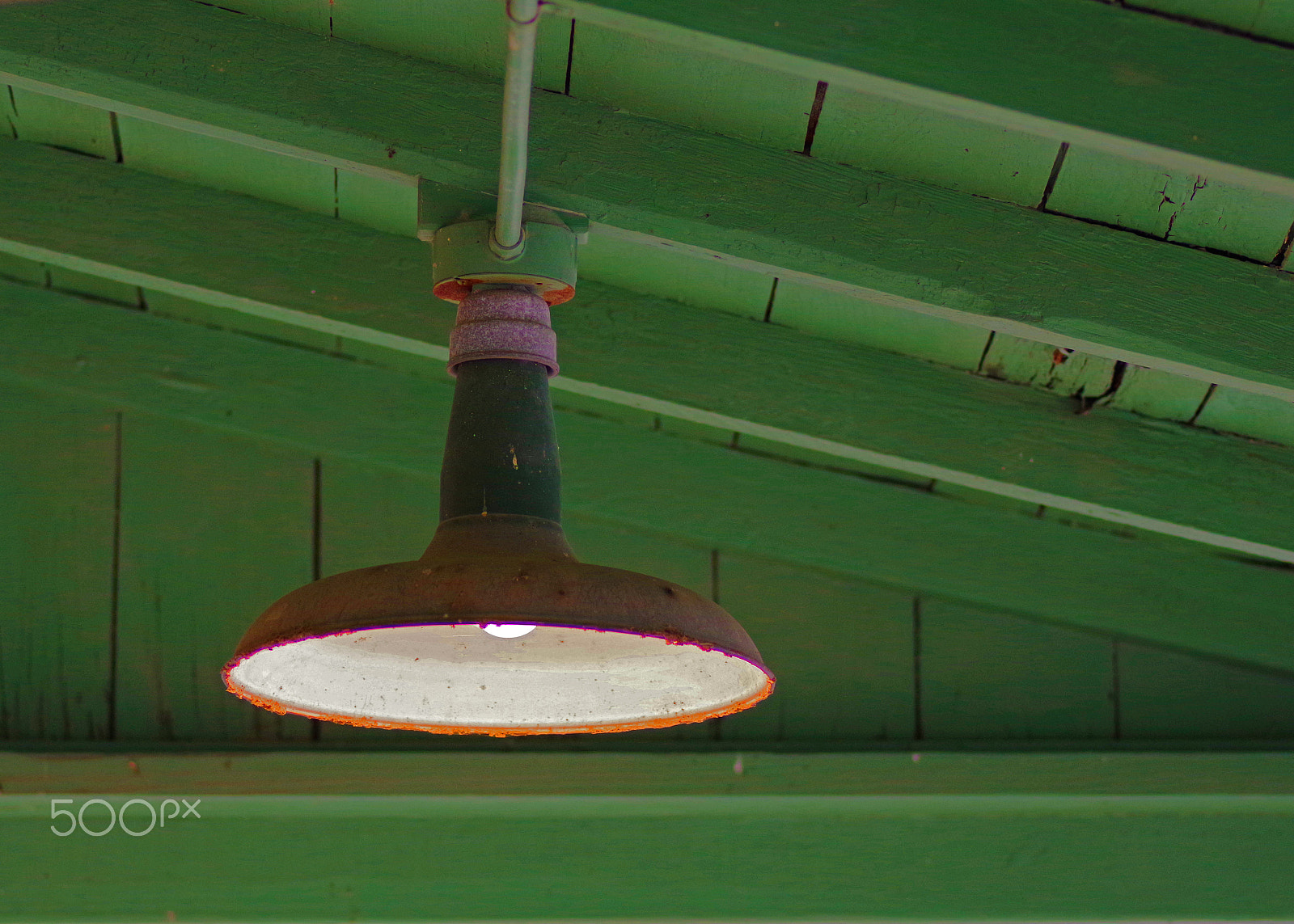 Pentax smc D-FA 100mm F2.8 Macro WR sample photo. County light photography