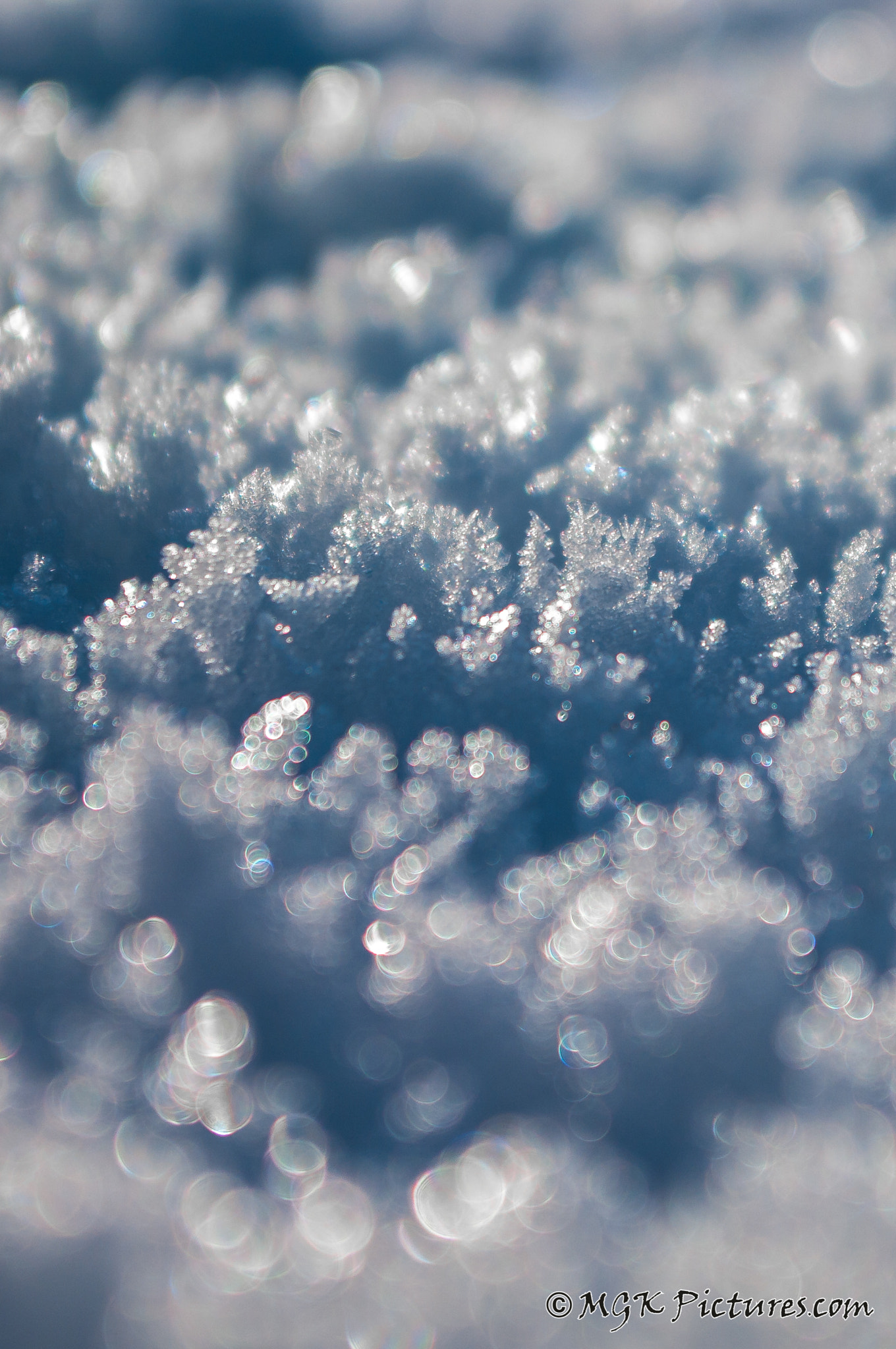Pentax K-7 sample photo. Snow forest photography