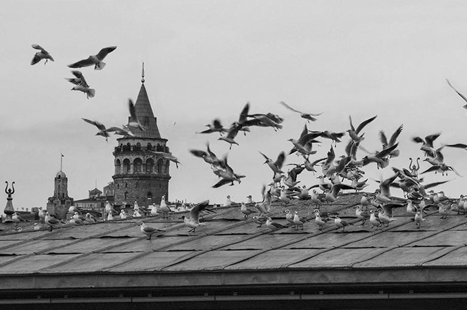Nikon AF-Nikkor 80-200mm F2.8D ED sample photo. Galata kulesi ve martılar photography