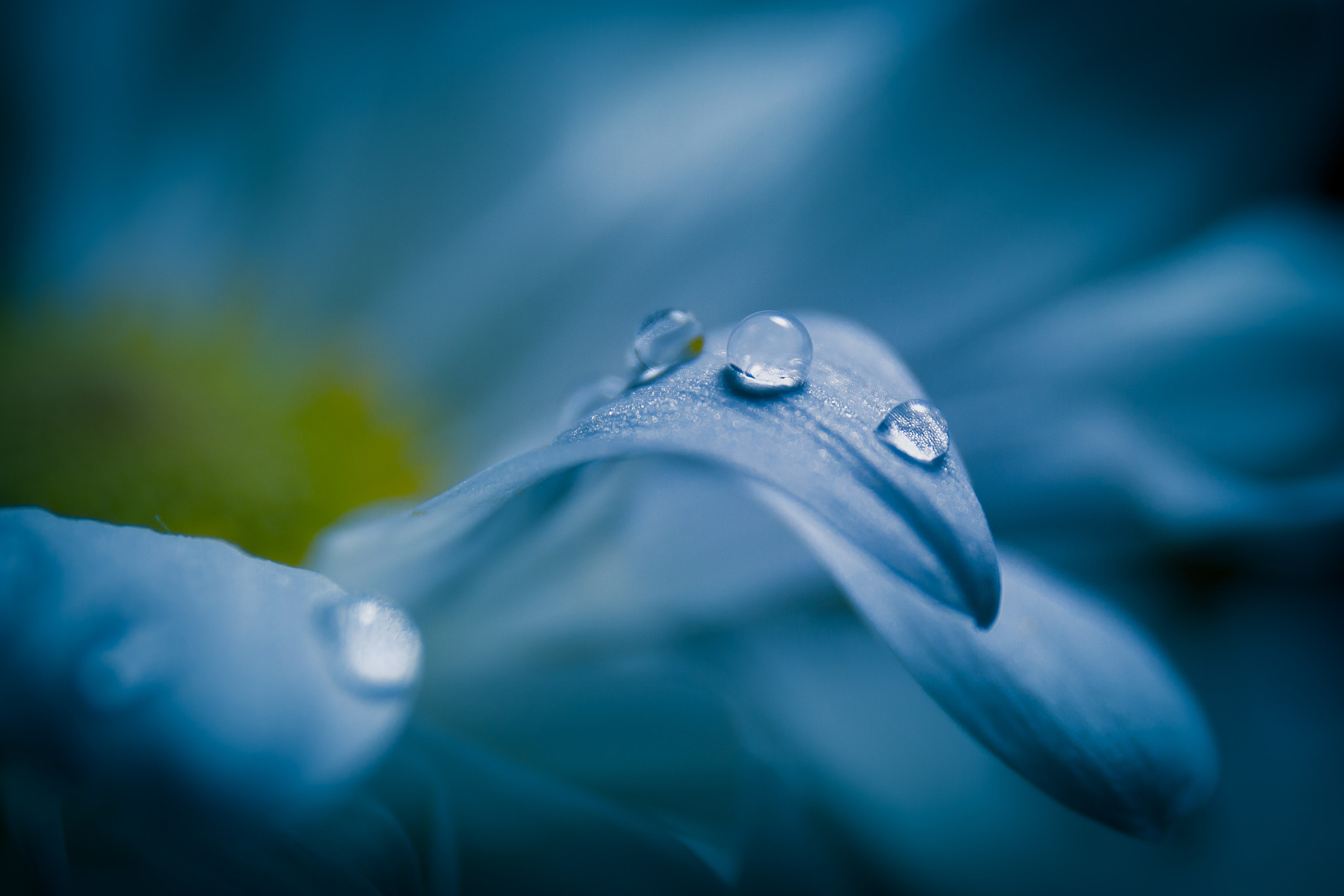 Canon EF 24-70mm F4L IS USM sample photo. *** photography
