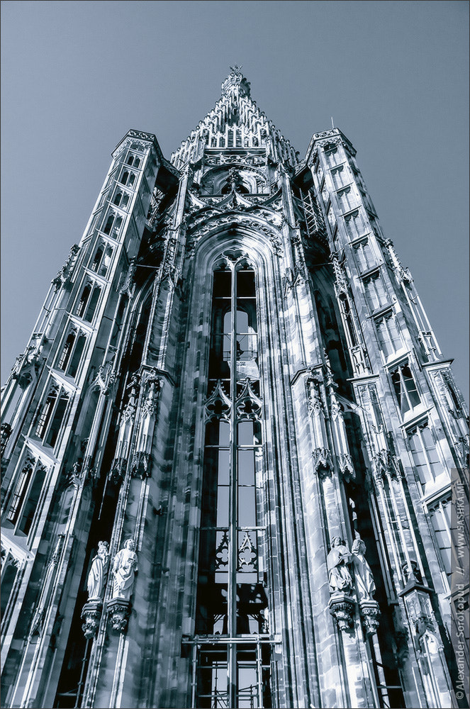 Sony a99 II sample photo. Tower of strasbourg cathedral isolated photography