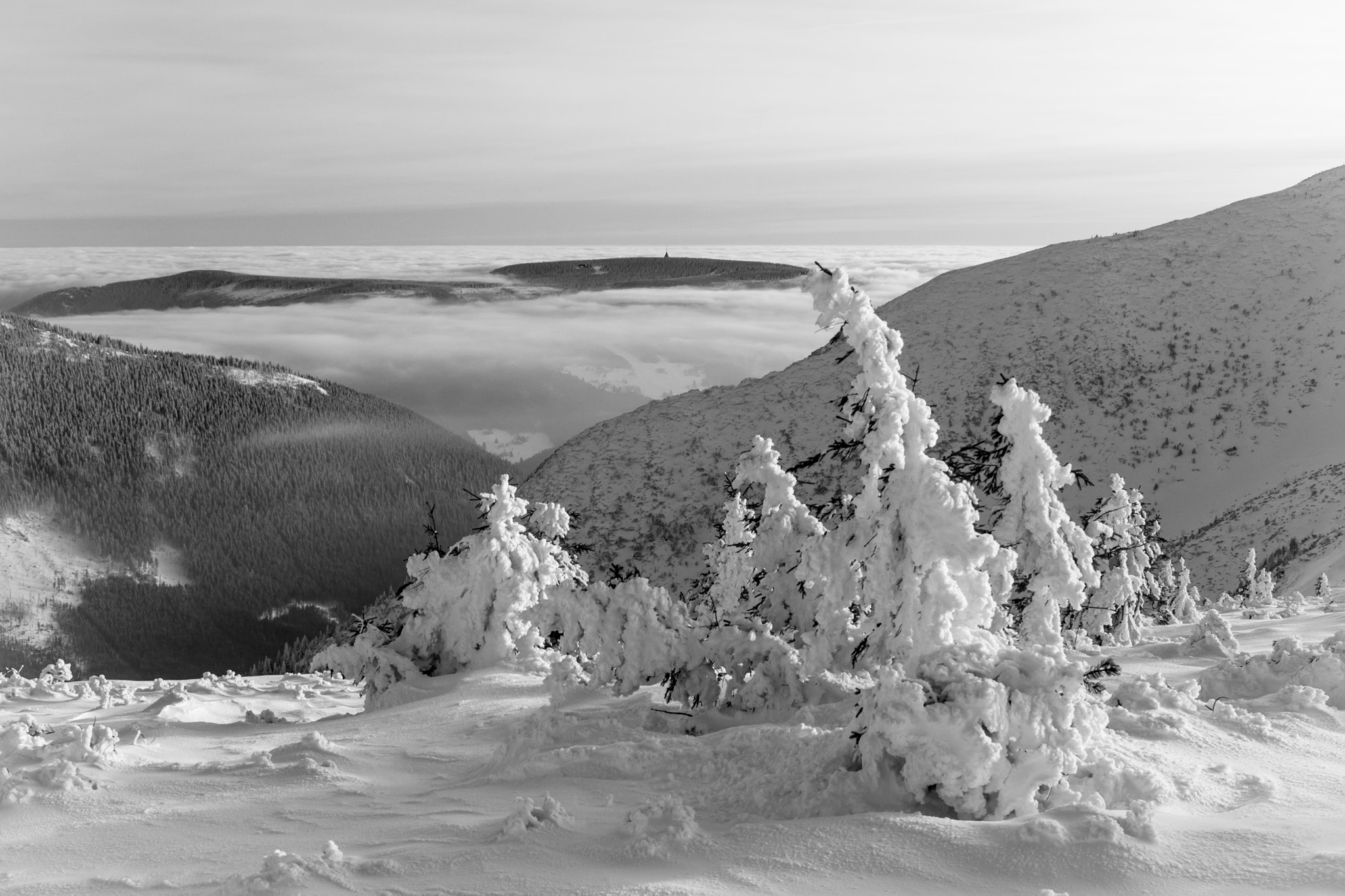 Canon EF 24-70mm F4L IS USM sample photo. Winter view photography