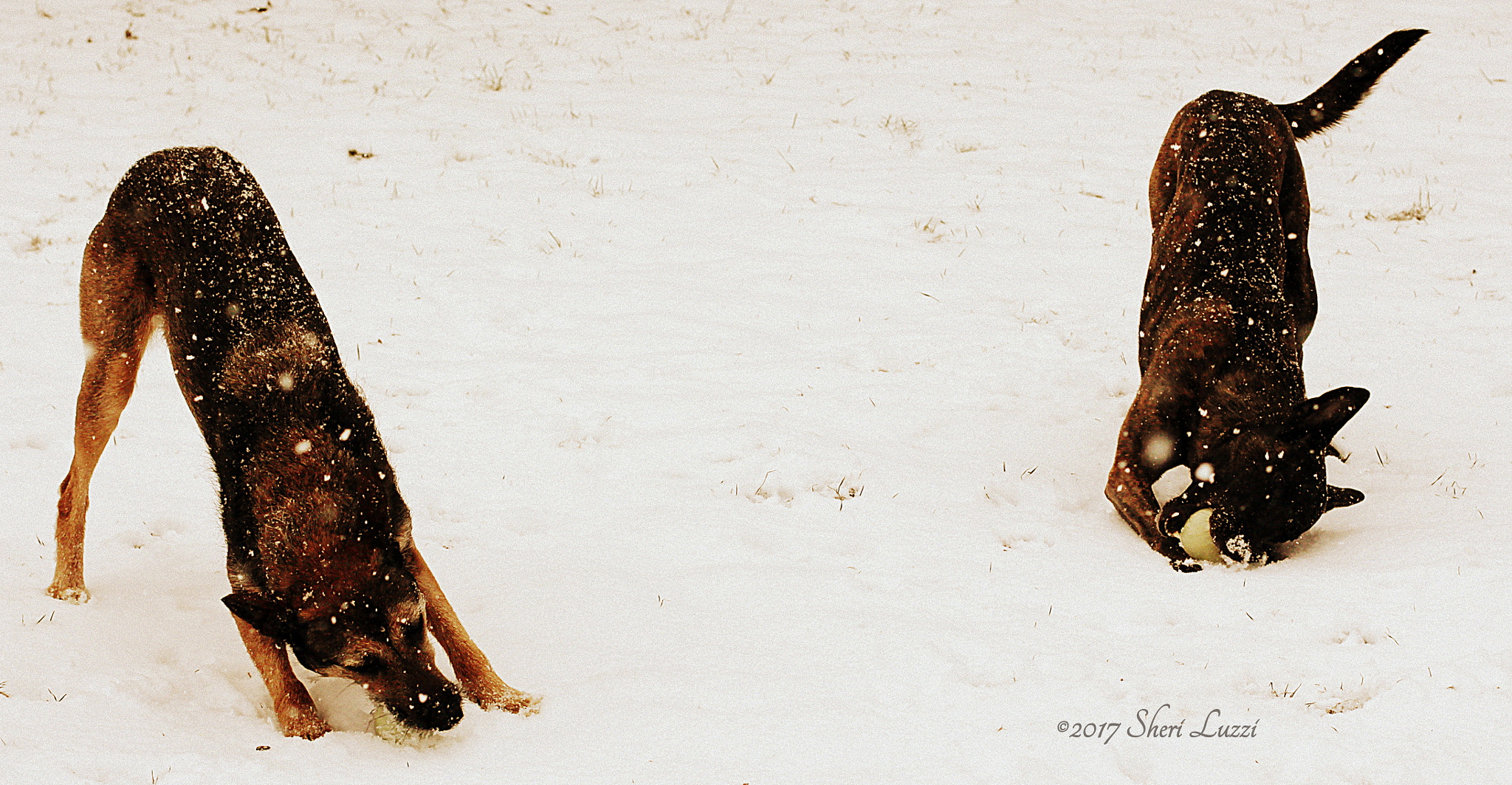 Canon EF 50mm F1.4 USM sample photo. Symmetry - jenga and ambush photography
