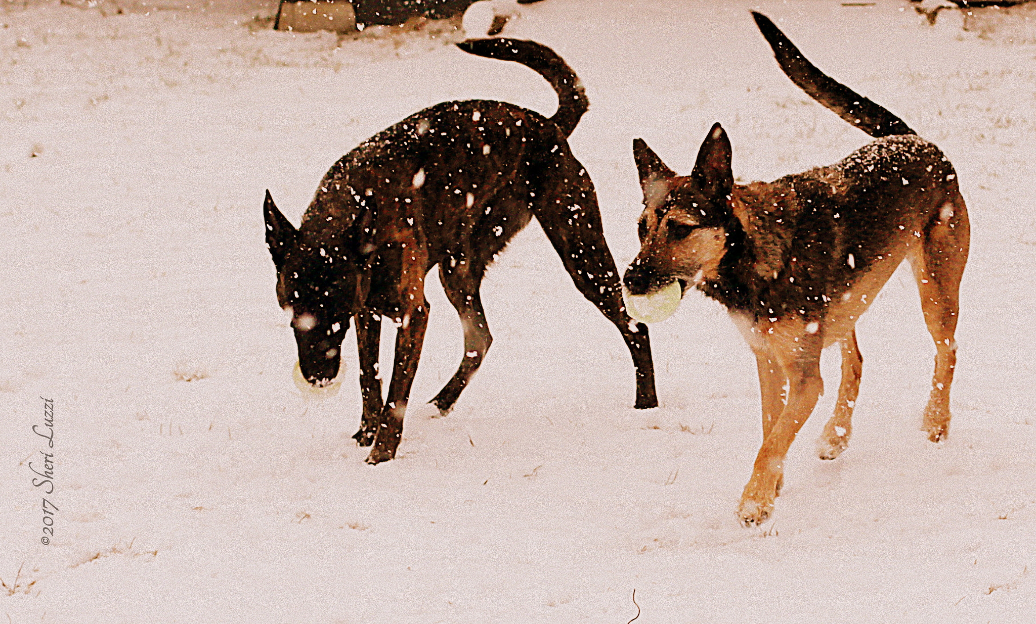 Canon EF 50mm F1.4 USM sample photo. Symmetry - jenga and ambush photography