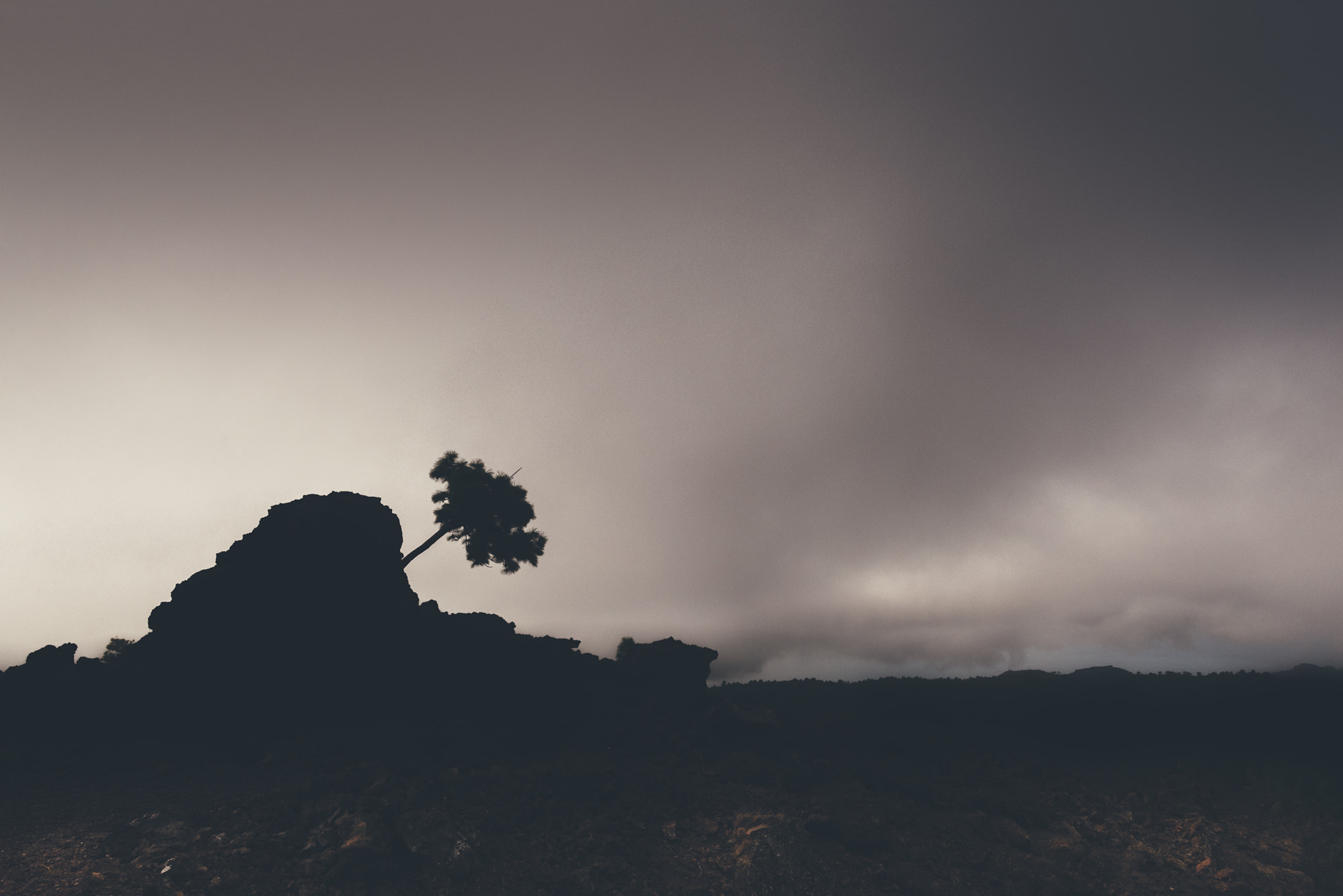 Nikon D610 + Nikon AF-S Nikkor 20mm F1.8G ED sample photo. Still standing photography