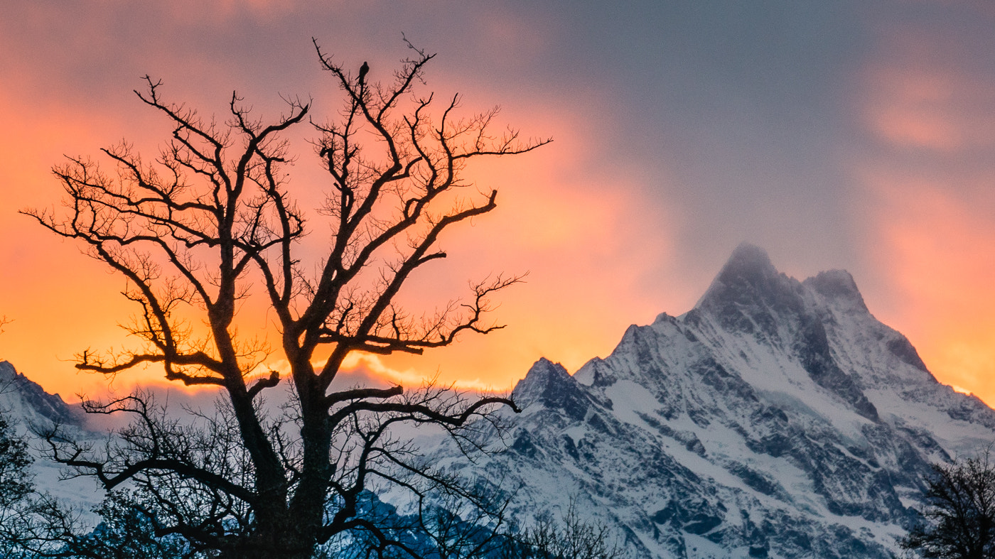 Sony a7R II + Minolta/Sony AF 70-200mm F2.8 G sample photo. Schreckhorn photography