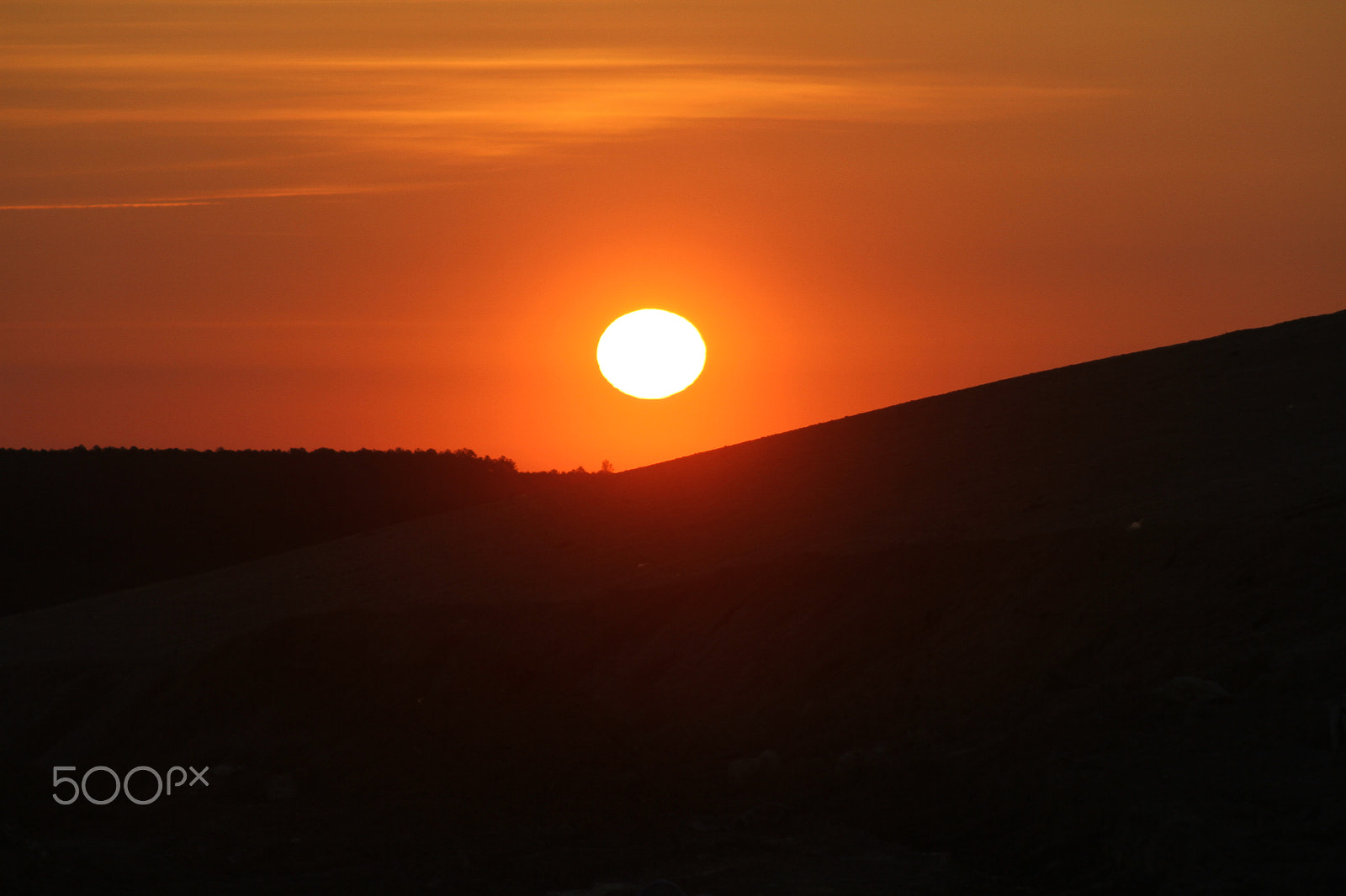 Canon EOS 7D + EF75-300mm f/4-5.6 sample photo. Img photography