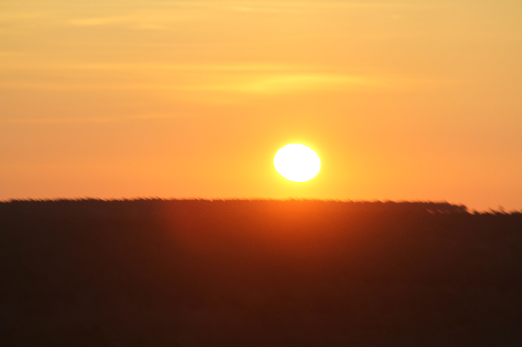 Canon EOS 7D + EF75-300mm f/4-5.6 sample photo. Img photography