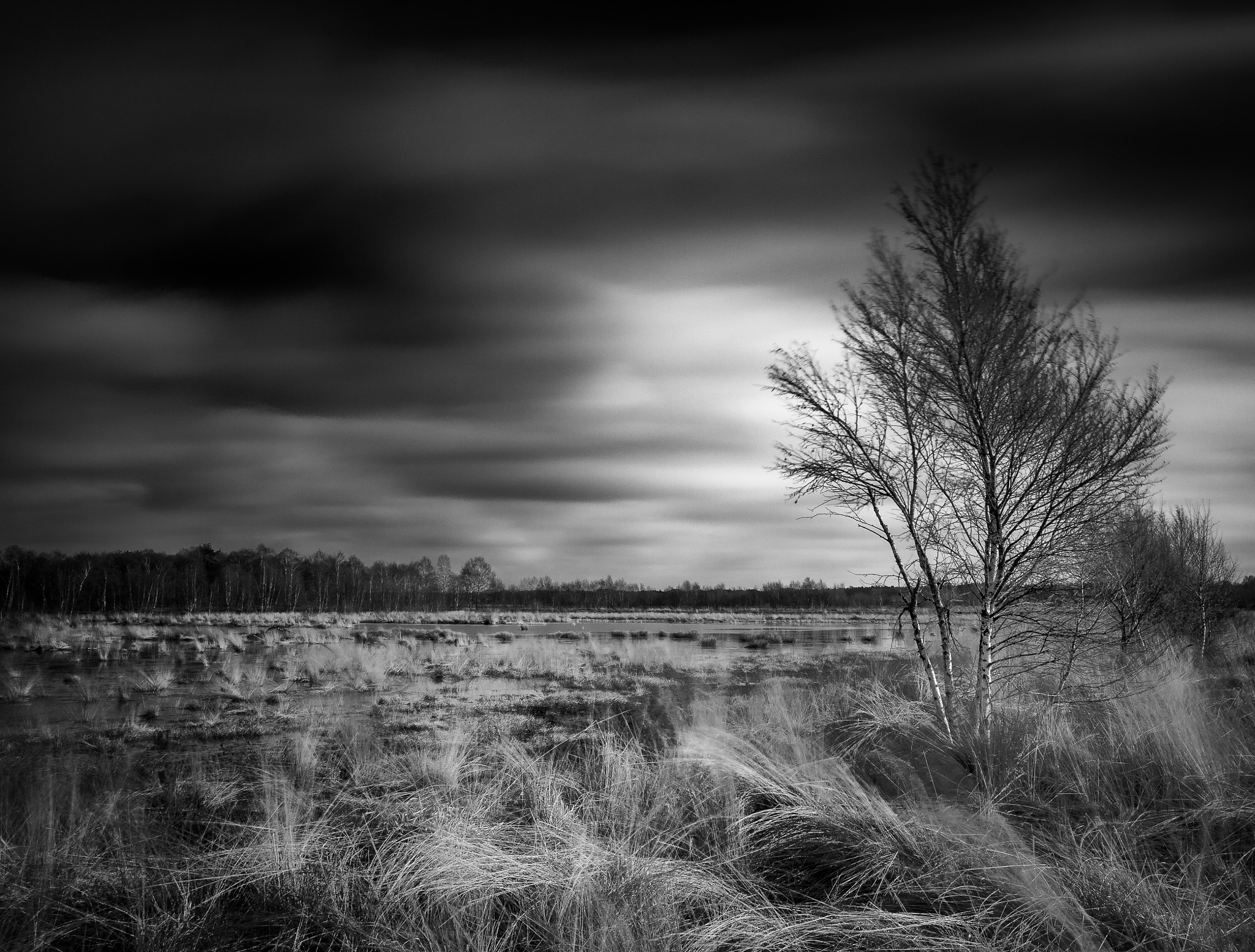 Canon EF-S 10-22mm F3.5-4.5 USM sample photo. Aschener moor photography