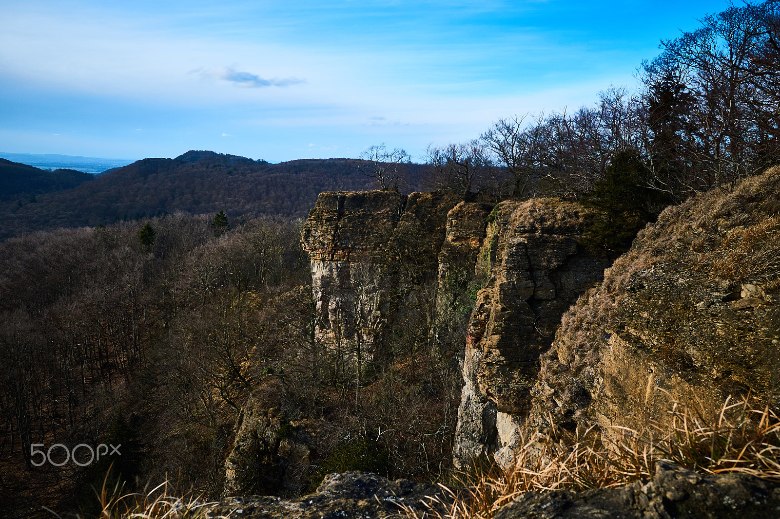 Sigma 19mm F2.8 EX DN sample photo. Hohenstein photography