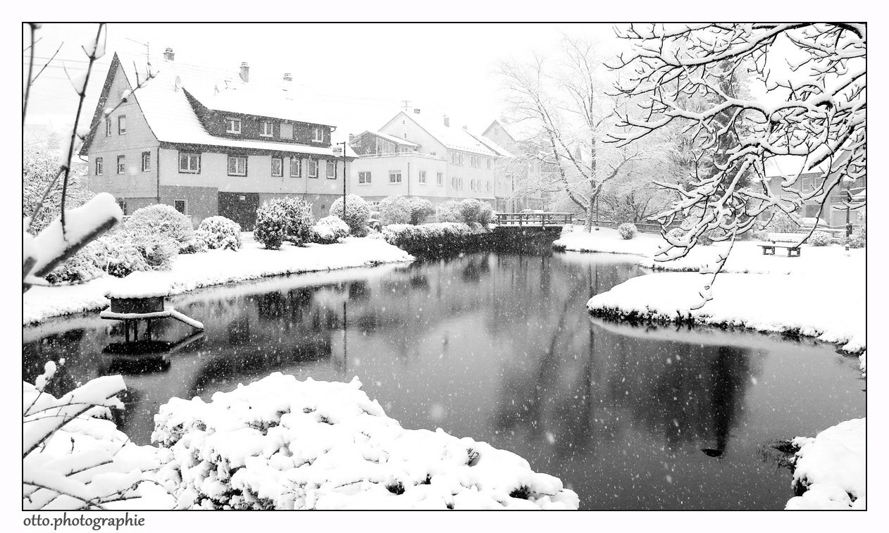Canon EOS 450D (EOS Rebel XSi / EOS Kiss X2) sample photo. Parkanlage im winterkleid photography
