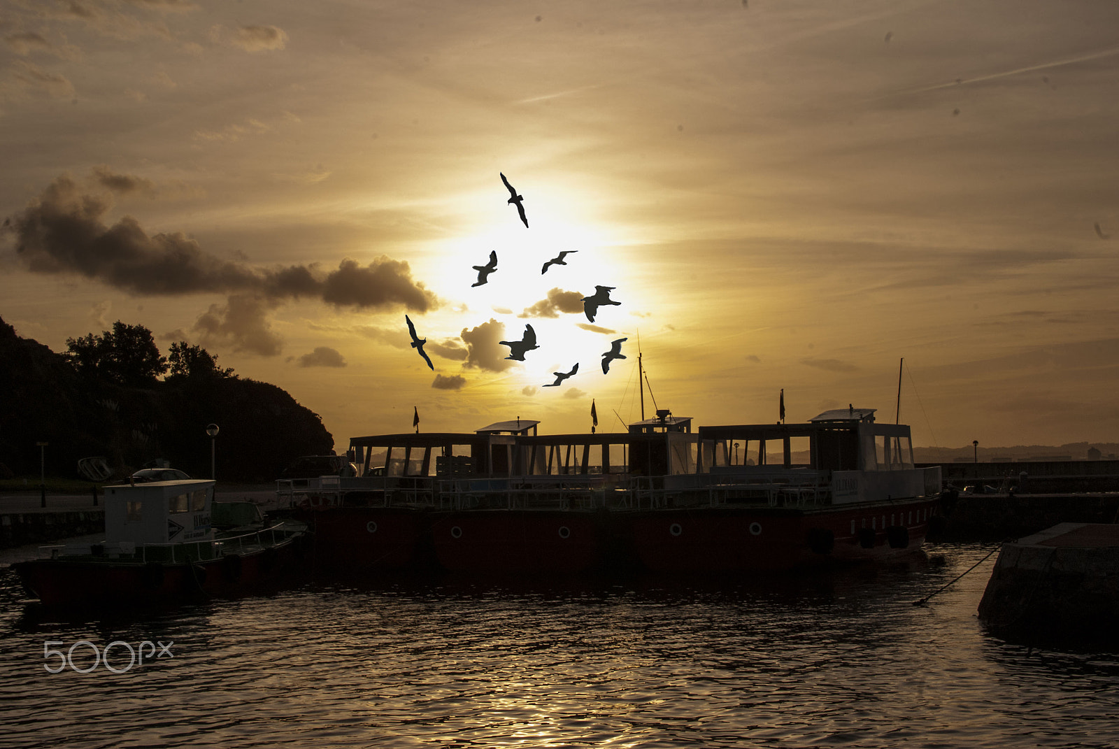 Nikon D80 + Nikon AF-S DX Nikkor 35mm F1.8G sample photo. Moving birds photography