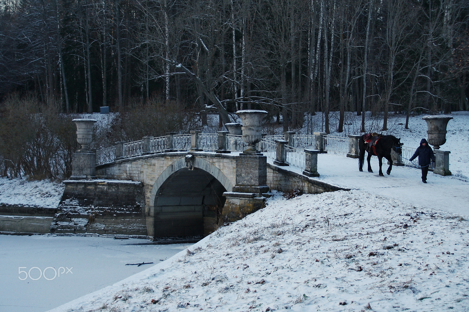 Canon EOS 1000D (EOS Digital Rebel XS / EOS Kiss F) sample photo. On a walk with a horse photography