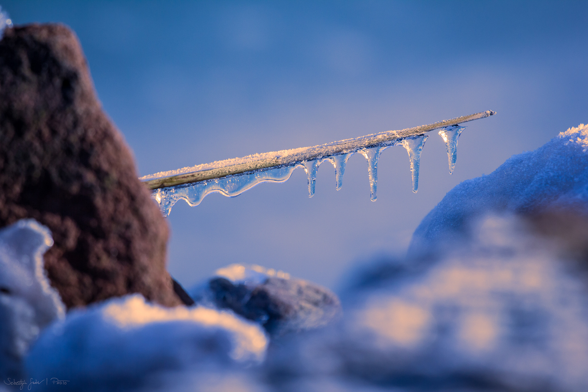 Canon EOS 60D + Canon EF 70-200mm F4L IS USM sample photo. Frozen iv. photography