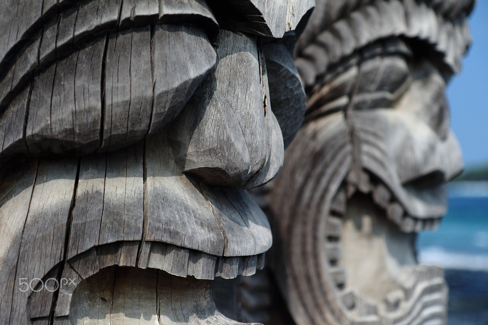 Canon EF-S 17-55mm F2.8 IS USM sample photo. Tiki protectors photography