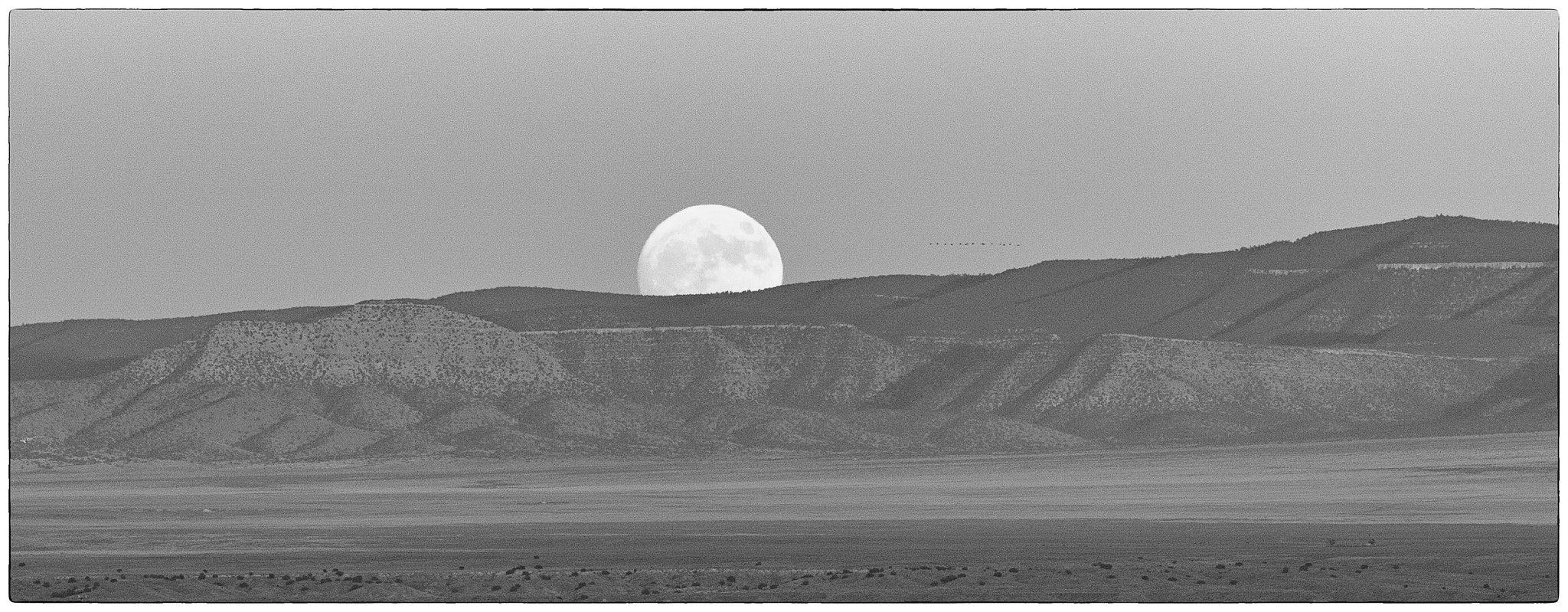 Sigma 150-600mm F5-6.3 DG OS HSM | C sample photo. Full moon rising over the manzano mts. photography