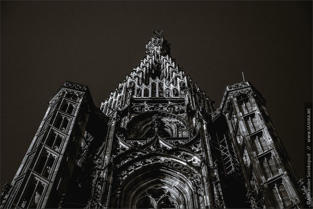 Sony a99 II sample photo. Tower of strasbourg cathedral isolated photography